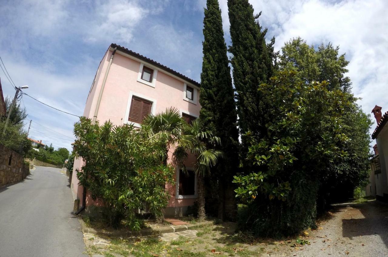 Traditional Istrian Stone House Šmarje Exteriör bild